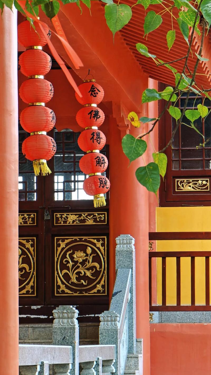 唐山海强吻徐碧城了吗