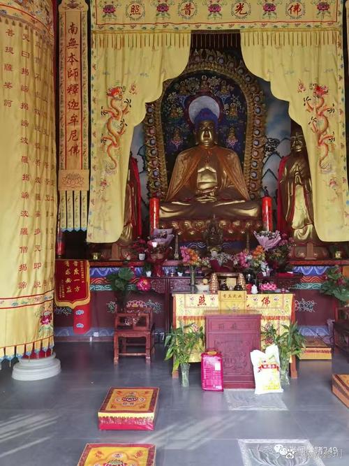 家中植物风水知识 选择正确的植物摆放 家中植物风水知识 选择正确的植物摆放