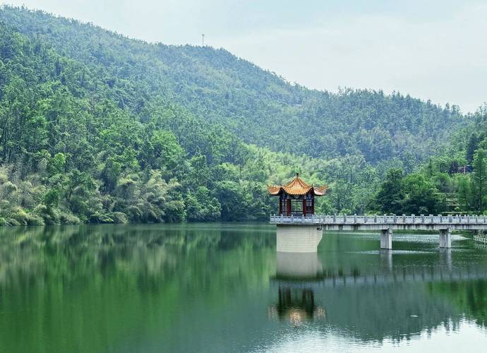 ��ɱ�ĸ������