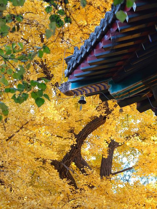 ���ܼ�סǰ���ļ����� �����������ʶ���� Ϊʲô����