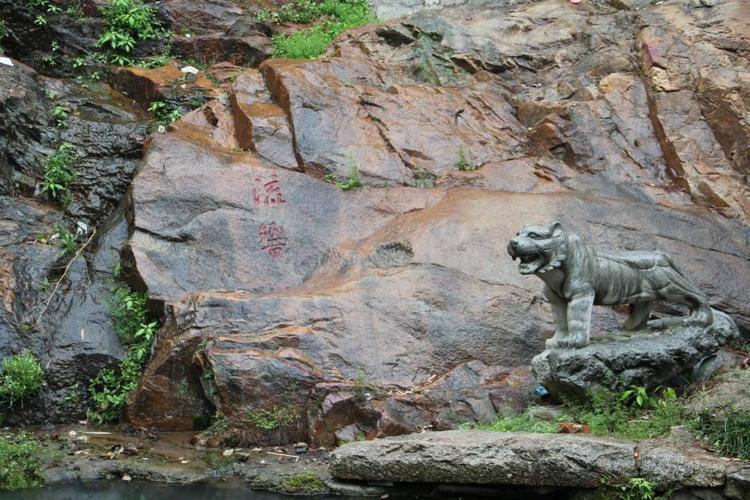 带木和水的女孩名字大全 绝美好听的女宝宝的名字推荐