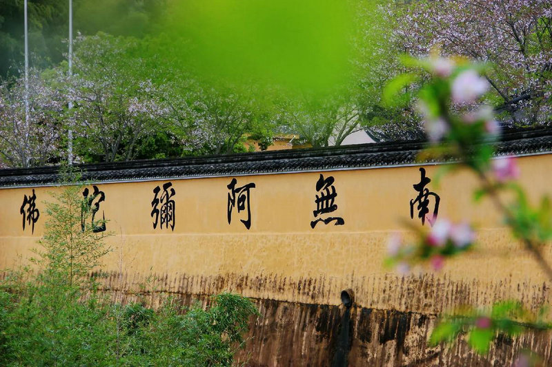 褚橙名字测试打分108分 褚橙名字测试打分108分