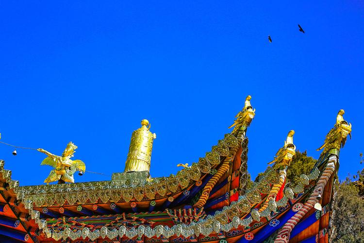 健康商标名字大全 公司起名大气有格局 健康商标名字大全 公司起名大气有格局