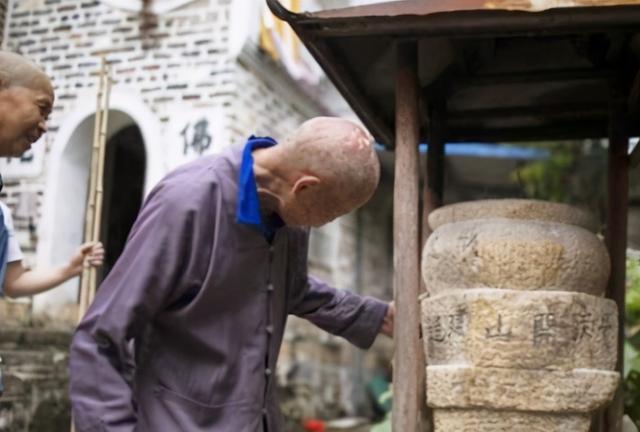 女属狗男属羊生个属龙的孩子好吗