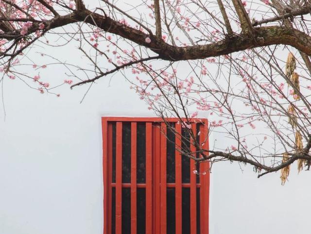 庚辰年手机号码测吉凶67真的会影响运势吗