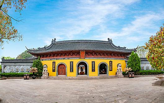 家里养花的忌讳有哪些 为何花老是死 家里养花的忌讳有哪些 为何花老是死