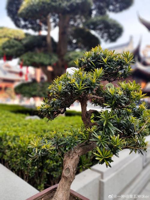 车牌号吉凶看哪个数真的会影响车主的运势吗