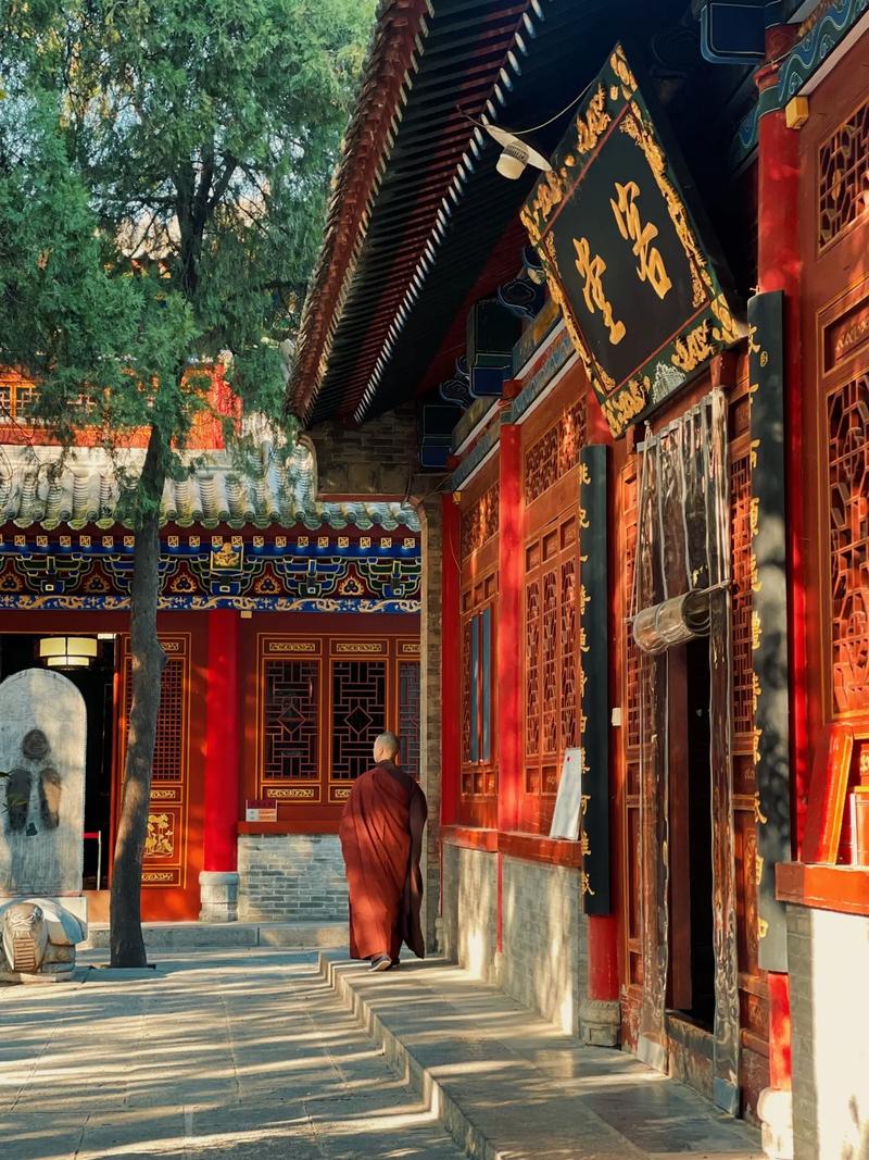 怎样根据五行取公司名字 名字规划类型 怎样根据五行取公司名字 名字规划类型