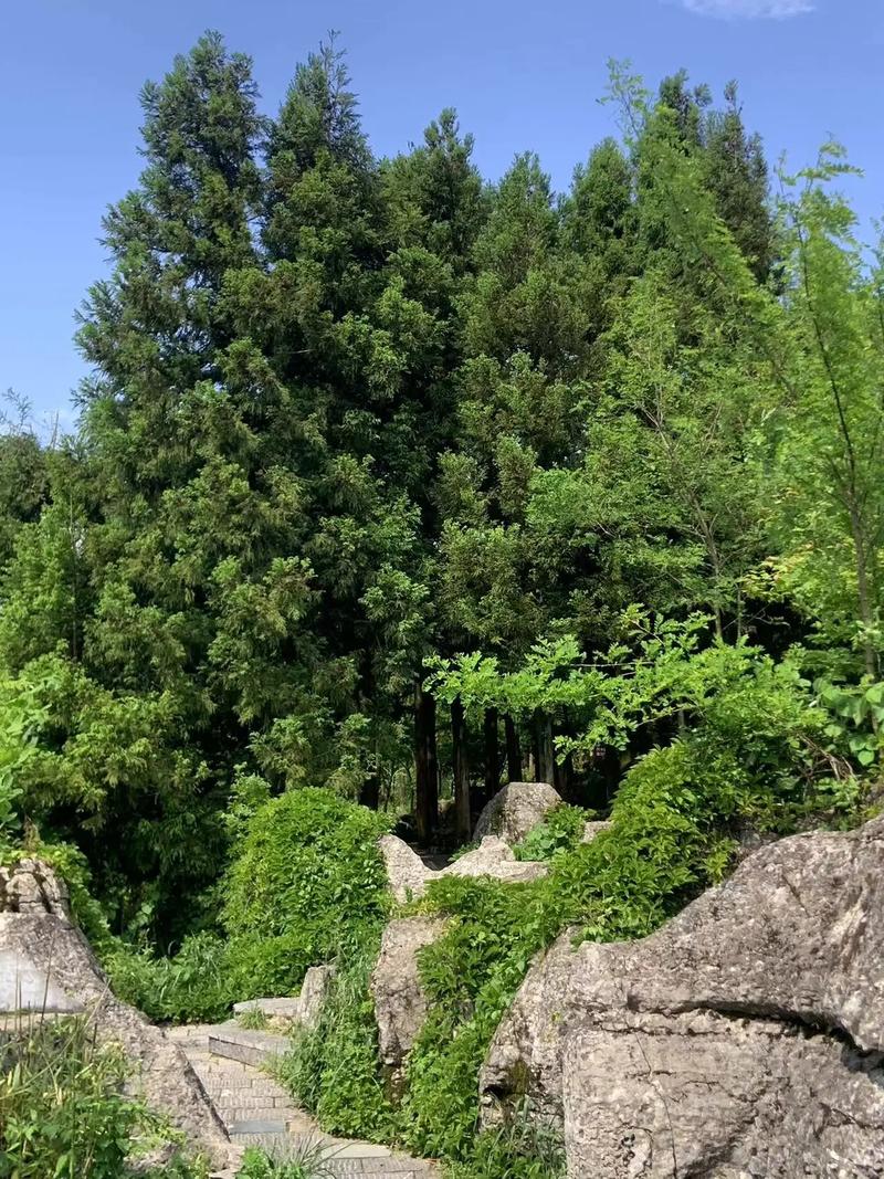 2025女孩如何起名 有内涵的女宝宝名字 2025女孩如何起名 有内涵的女宝宝名字