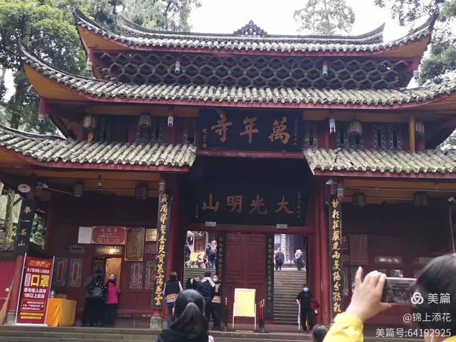 贾玲是导演吗还是演员