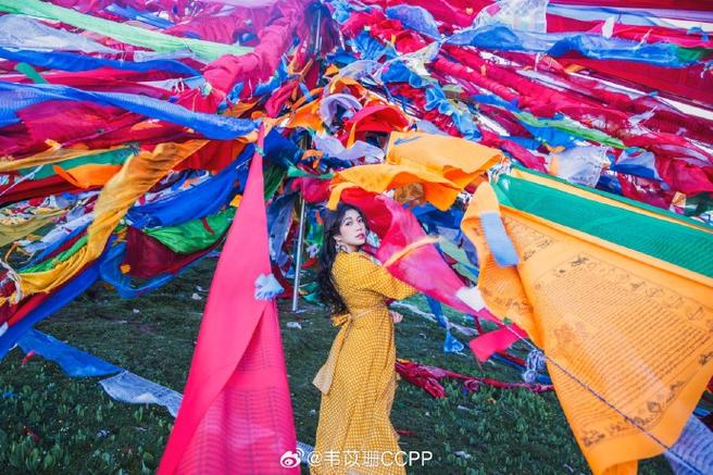 宝宝属猪的怎么起名字 属猪名字里最吉利的50个字