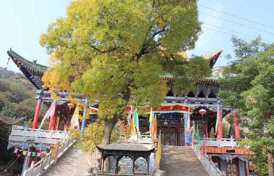 1995属狗上等婚配属相真的能带来幸福吗 让我们一起探讨属相婚配的深层含义 1995属狗上等婚配属相真的能带来幸福吗 让我们一起探讨属相婚配的深层含义