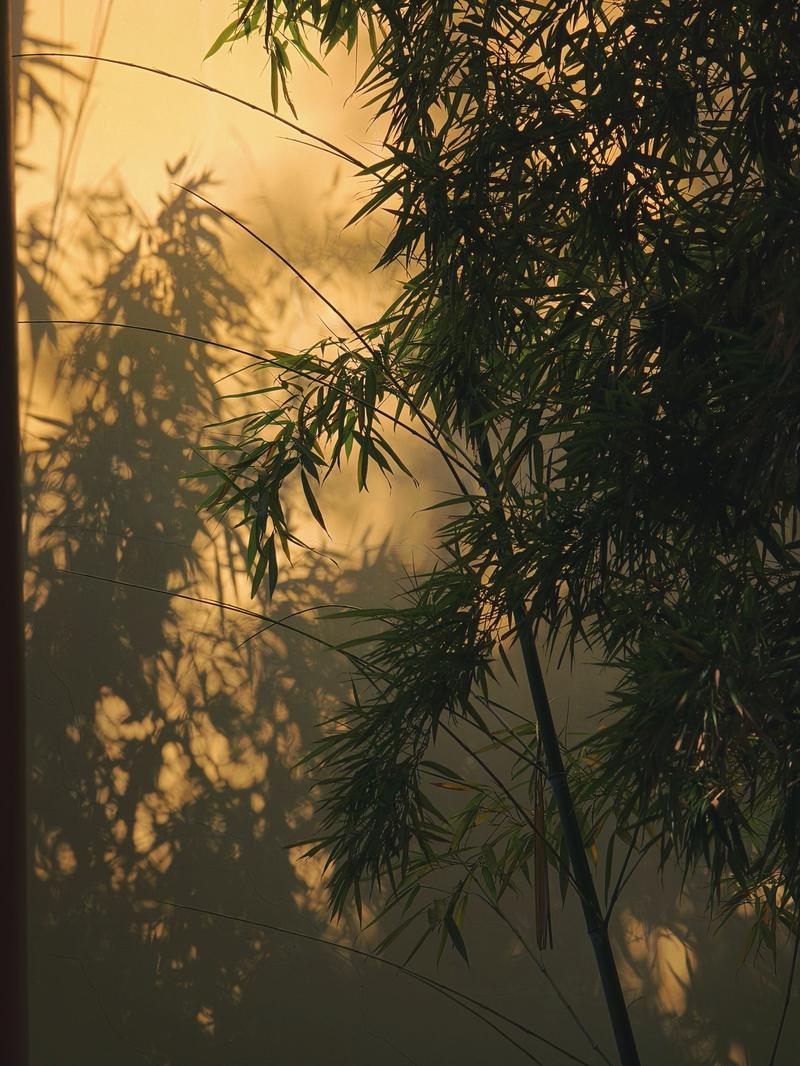 癸亥年出生的人在婚配属相八字查询中应考虑以避免未来婚姻的不稳定因素 癸亥年出生的人在婚配属相八字查询中应考虑以避免未来婚姻的不稳定因素