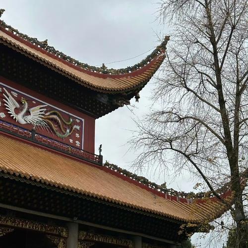 戊戌年情侣手机号配对到底会给感情带来怎样的影响和考验让人忧心忡忡会影响两人之间的和谐与幸福呢 戊戌年情侣手机号配对到底会给感情带来怎样的影响和考验让人忧心忡忡会影响两人之间的和谐与幸福呢