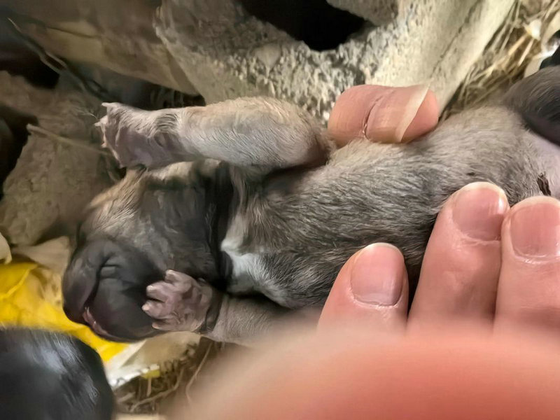 ������ϮУ԰ ������Сѧ���������ù�������