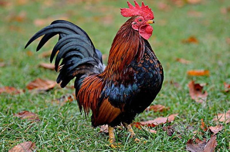 2025年个人店铺名字大全 常用带财好店名 2025年个人店铺名字大全 常用带财好店名