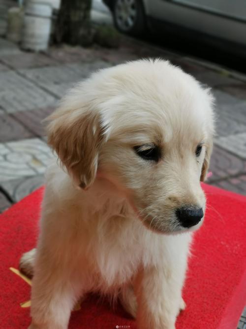 怎么布置卧室风水能旺财