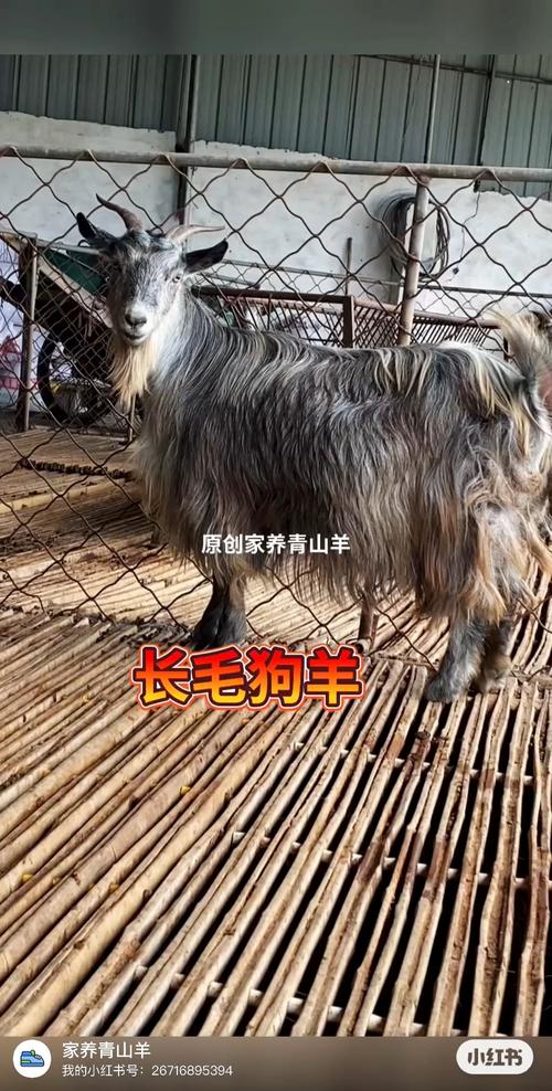 ��ѧ¥ȡ���翪ͷ ����ȡ������