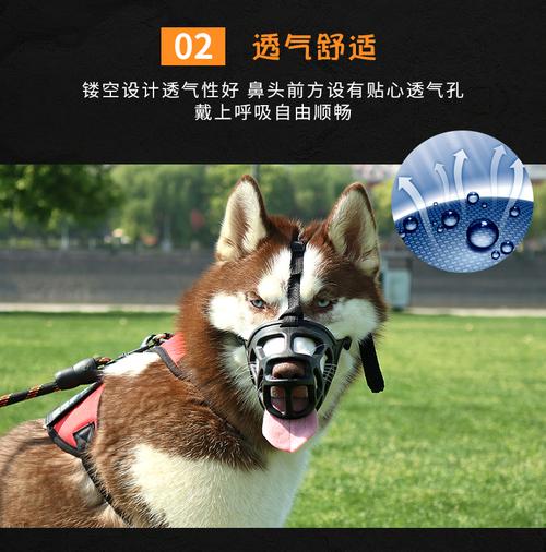 îյʲôԺû᲻ӰƺҸ