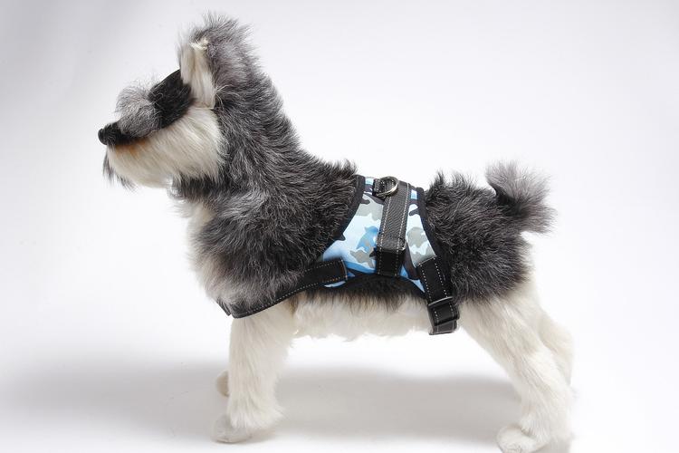 ����������ò����ФŮ