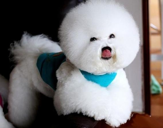 牛年出生的孩子起名 牛宝宝有福气的名字 牛年出生的孩子起名 牛宝宝有福气的名字