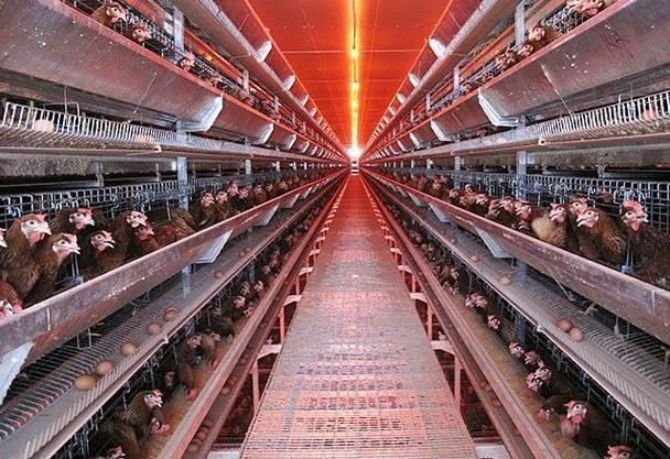 ��ͬһ���������������Ҹ������� ͬ������������