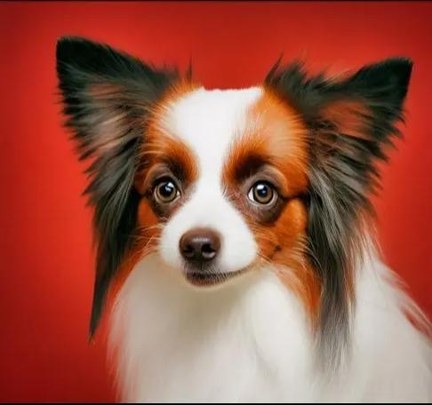 ţŮĵı ôýţذ ýţаķ