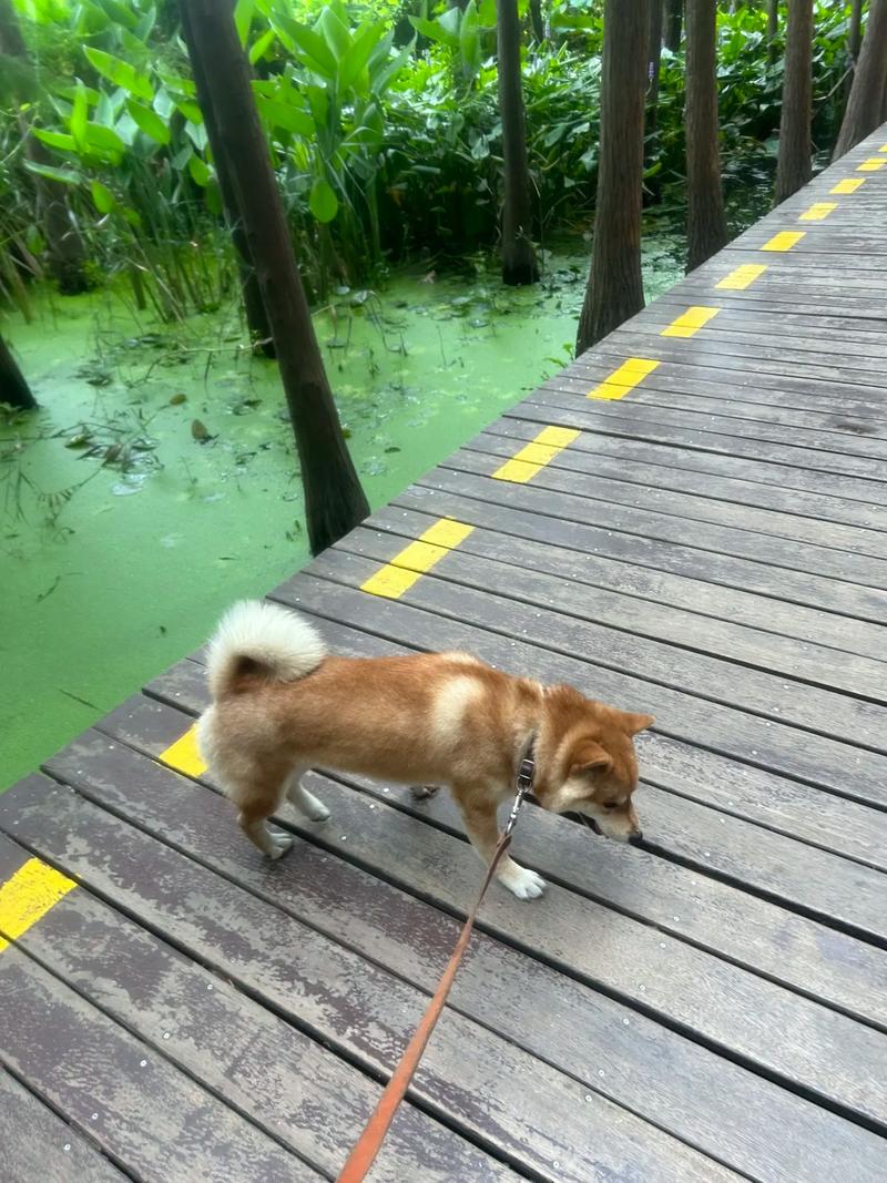 ǩھǩƽ_໥Э(ǩھǩƽ_Ҫ໥Э)