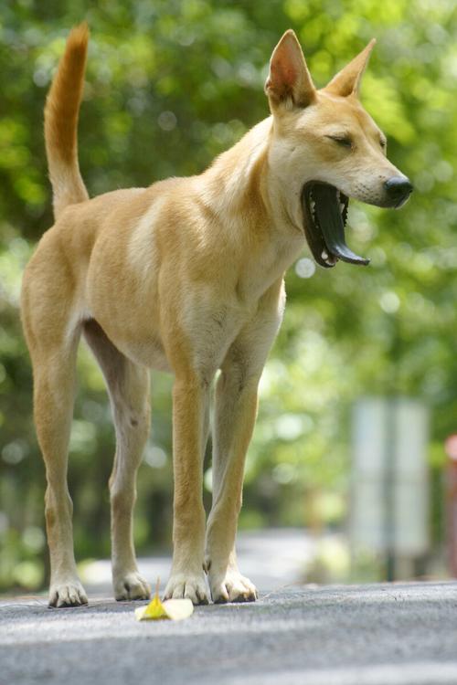 再婚八字配对真能幸福吗