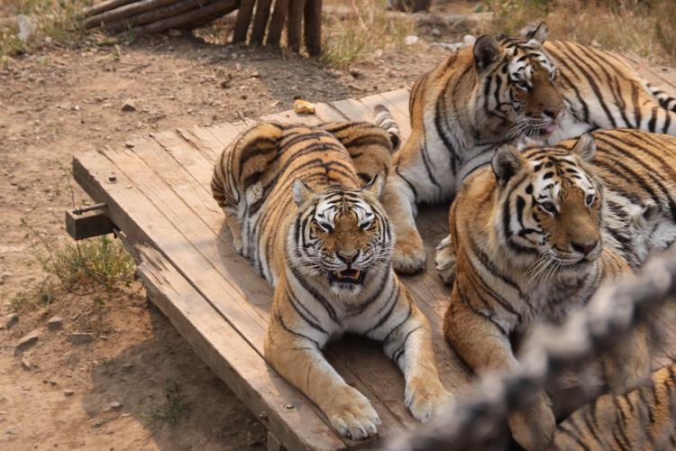 �ؼҵ�·�ж�Զ��Ա��