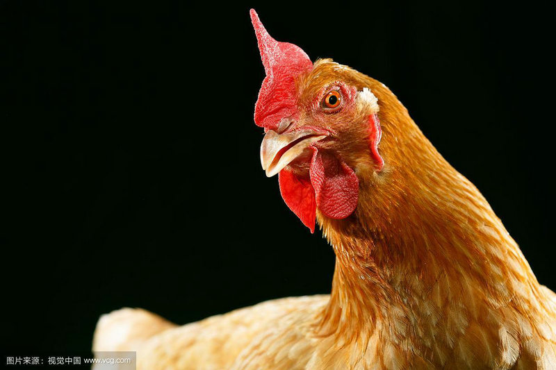 响亮的科技公司起名大全 公司最新版名字