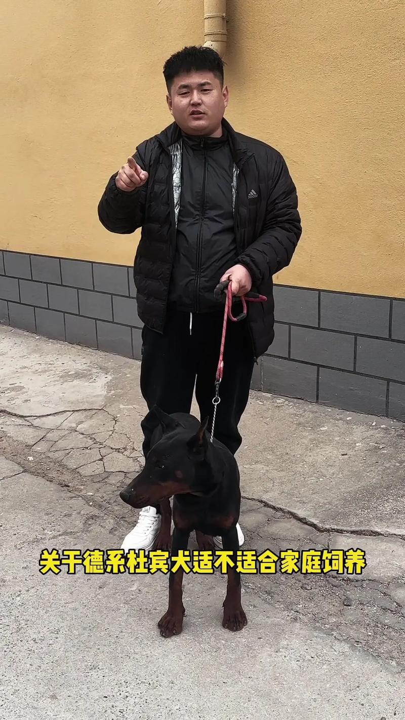 丁字路口的商铺风水怎么样 丁字路口的商铺风水怎么样