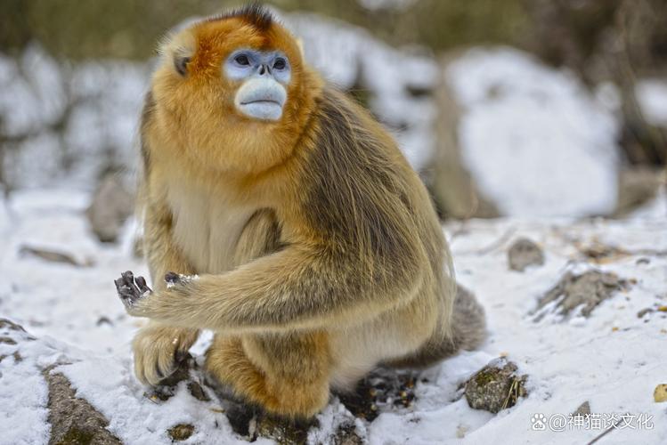 生辰八字跟别人说了怎么办 会被陷害吗 生辰八字跟别人说了怎么办 会被陷害吗