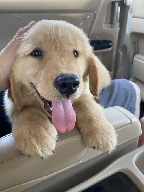 什么家庭适合别墅住宅风水 什么家庭适合别墅住宅风水