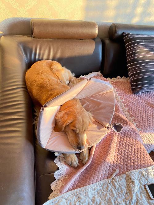 母亲节出生的孩子命运 天资过人晚景昌隆