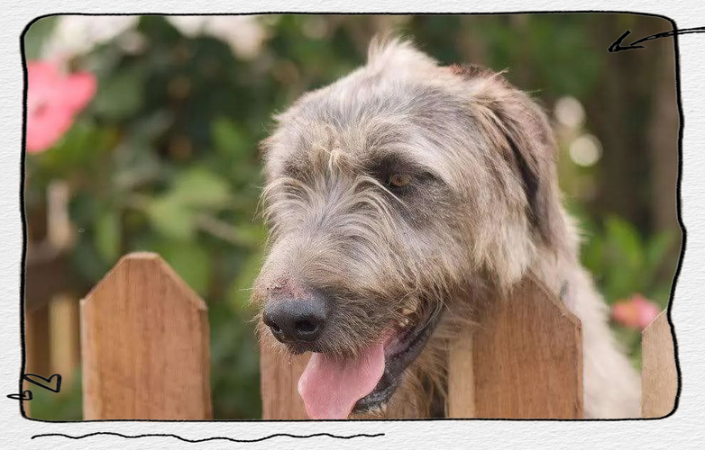 俩人手机号配对真的能影响感情运势让我们一起来看看甲子是发挥作用的 俩人手机号配对真的能影响感情运势让我们一起来看看甲子是发挥作用的