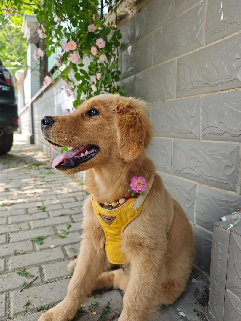 如何有效学习职场英语 有哪些的网站 如何有效学习职场英语 有哪些的网站