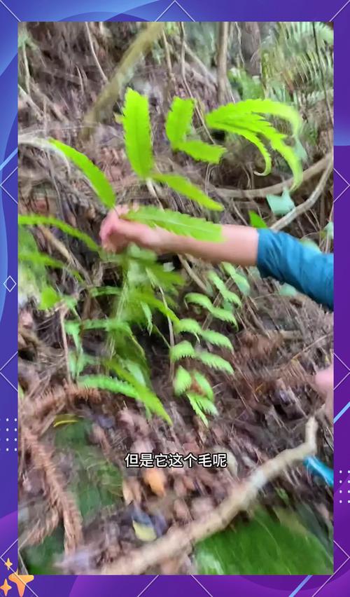 佛祖灵签48签问复合_目标模糊_心中忐忑(佛祖灵签48签