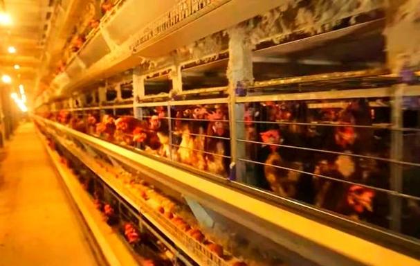 如何提升日常英语口语交流能力 如何提升日常英语口语交流能力