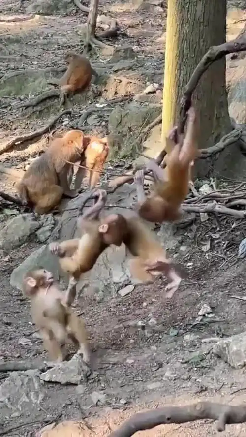 两个都是路旁土命 夫妻两都是路旁土命