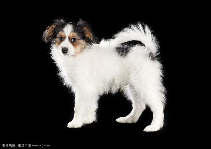 玉帝灵签十三签解签_理财习惯良好(玉帝灵签十三签解签改进理财习惯吗) 玉帝灵签十三签解签_理财习惯良好(玉帝灵签十三签解签改进理财习惯吗)