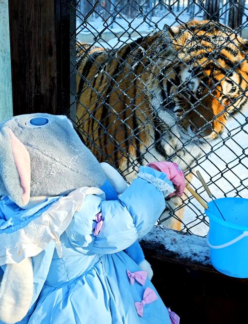 带有钅字女孩高雅的名字 带有钅字女孩高雅的名字