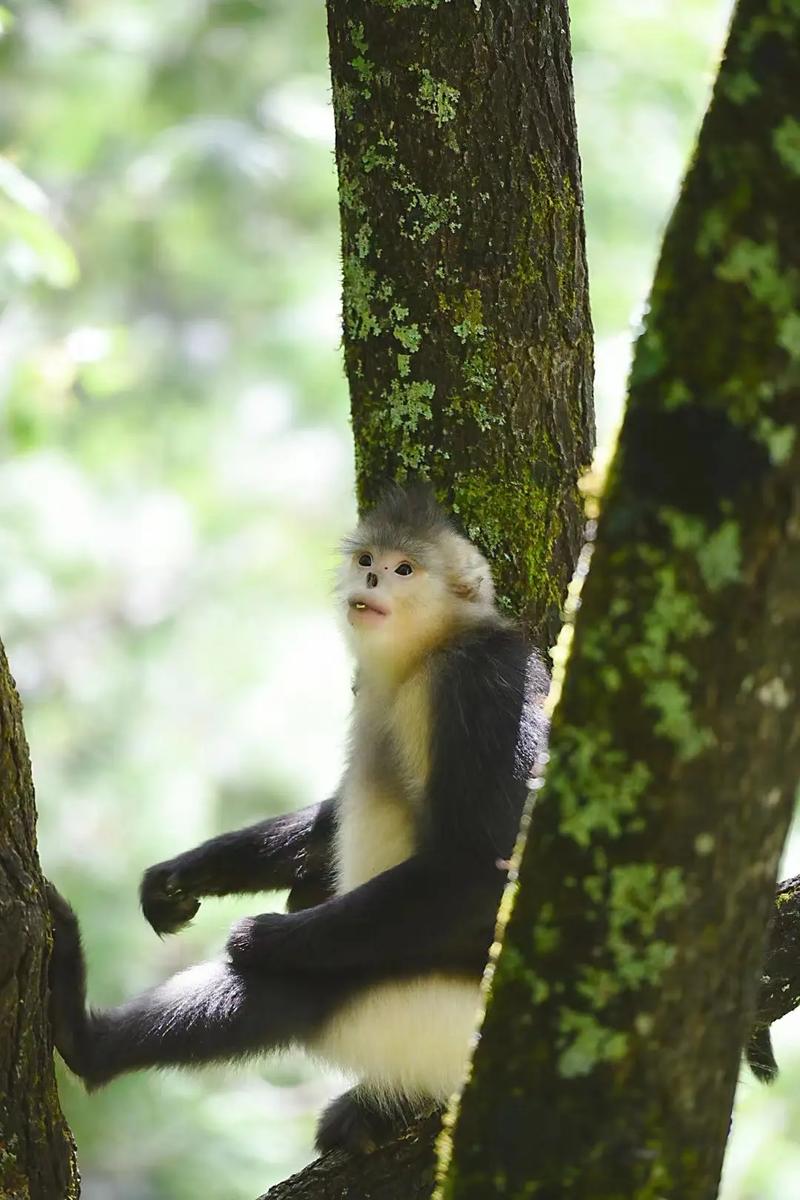 复式楼风水禁忌大全