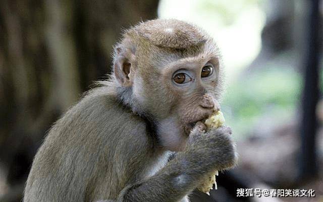 金秀路电影 金秀路百科