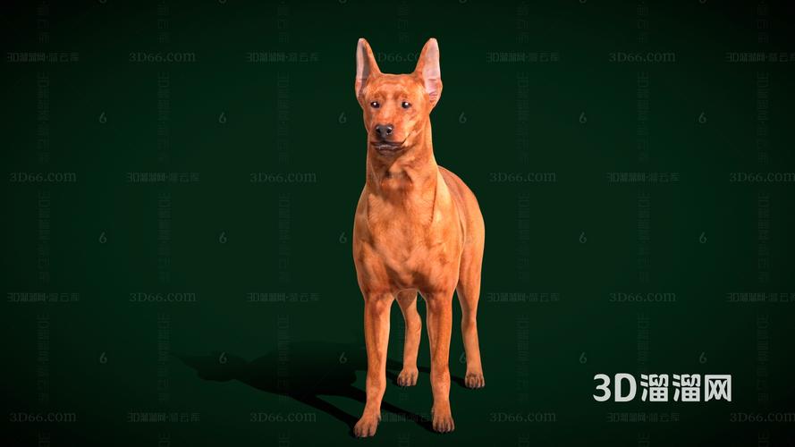 观音殿可以抽签吗_恋爱不平等怎么办(观音殿可以抽签吗_恋爱不平等有解) 观音殿可以抽签吗_恋爱不平等怎么办(观音殿可以抽签吗_恋爱不平等有解)