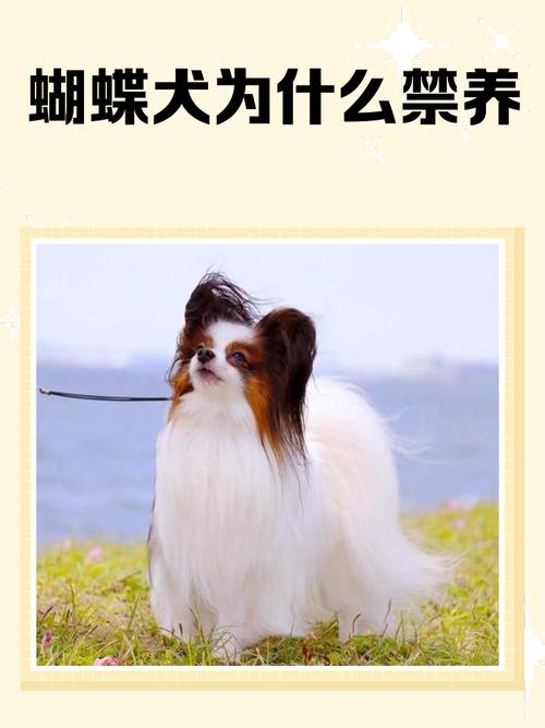 ʺɽ»ķˮڼʲô вƵķˮڼ