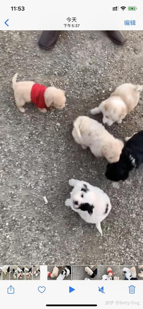 中老年土味网名 中老年土味网名