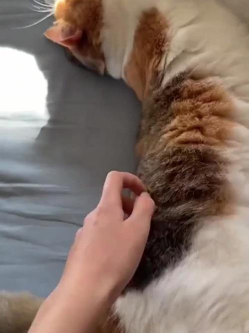 好听的集团名字 集团子公司取名