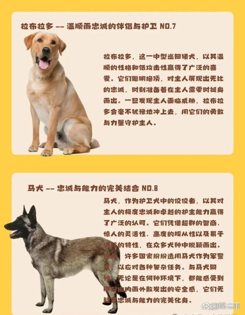 名字配对姻缘准吗 免费算两人的姻缘