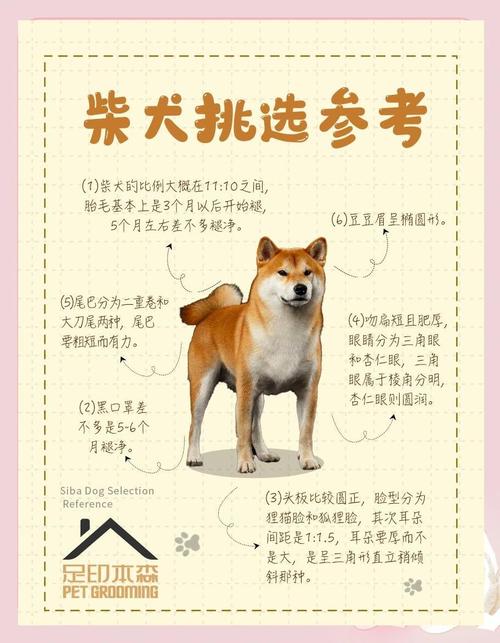 辛酉年羊生肖与蛇生肖配对存在潜在的不和谐因素值得关注 辛酉年羊生肖与蛇生肖配对存在潜在的不和谐因素值得关注